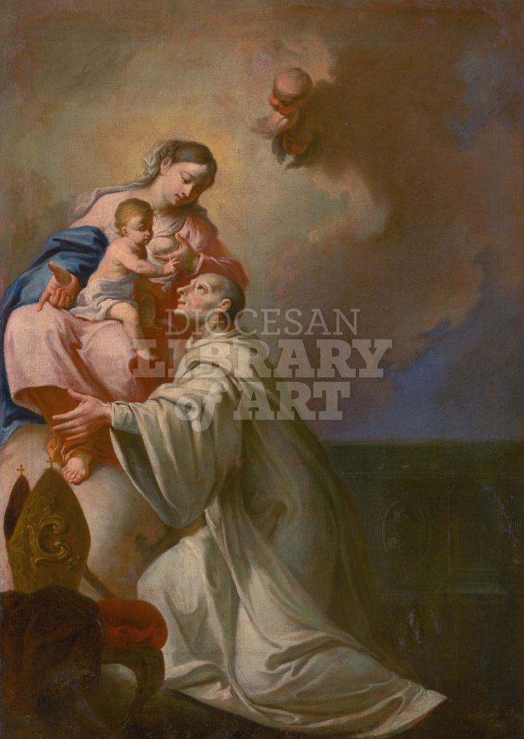 Lactation of St Bernard