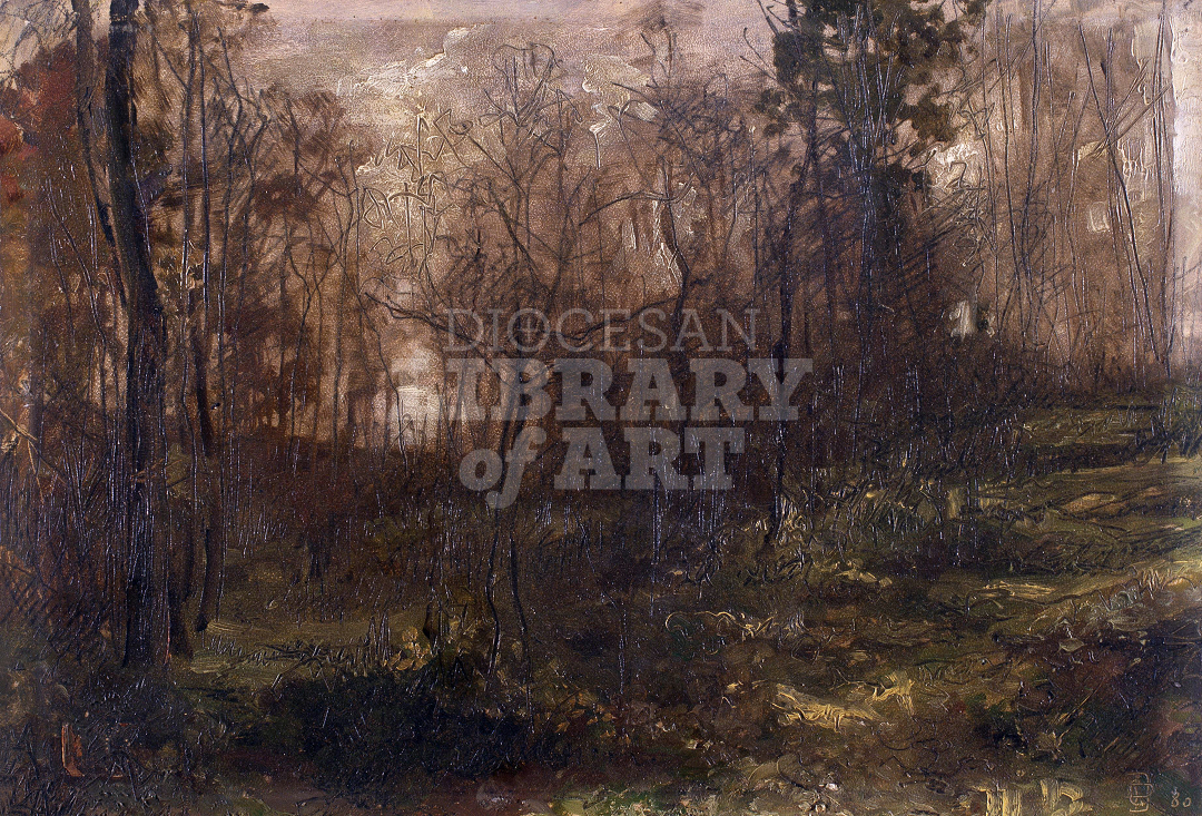 Autumnal Woodland Scene