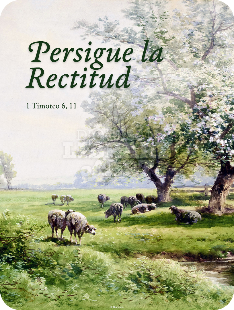 Persigue la Rectitud : Full Page