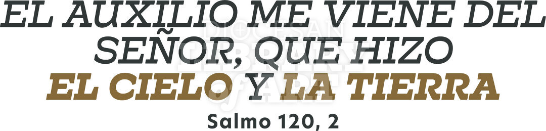 El auxilio me viene del SEÑOR, que hizo el cielo y la tierra.