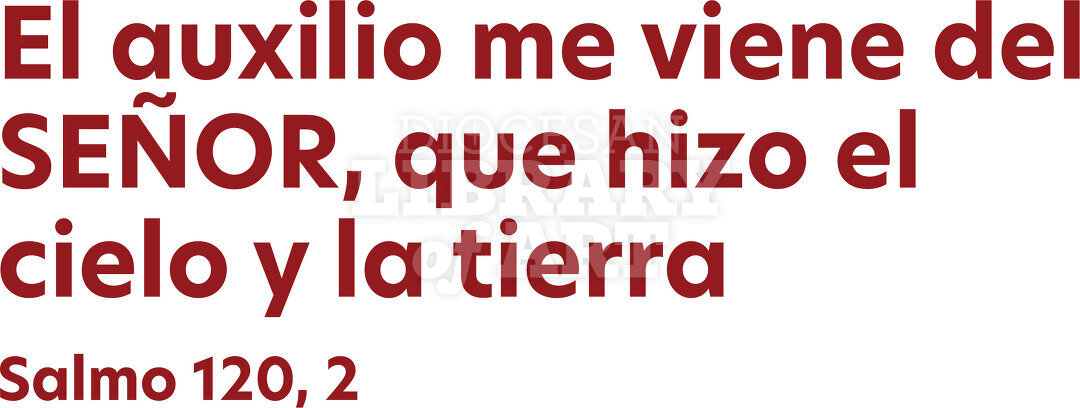 El auxilio me viene del SEÑOR, que hizo el cielo y la tierra.