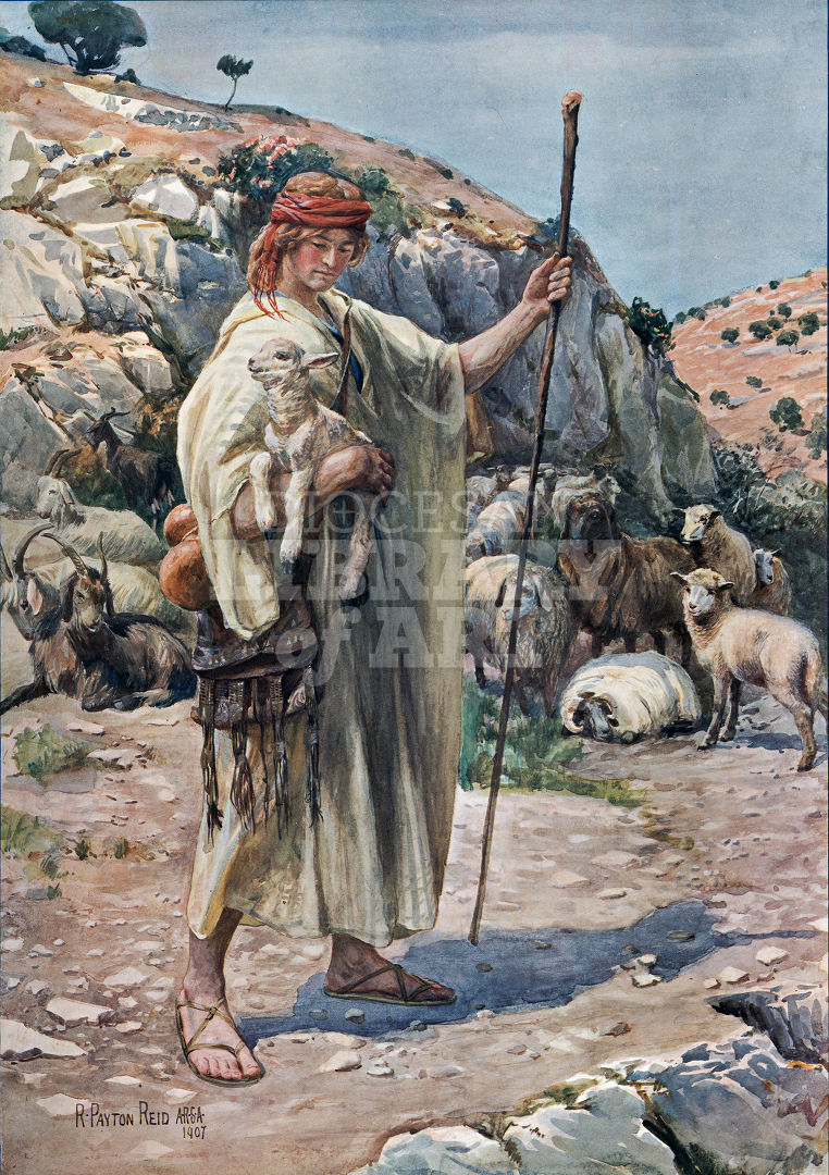 The Shepherd Boy David