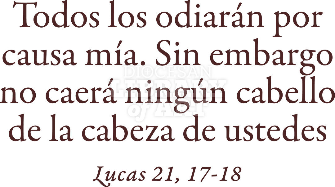 Todos los Odiarán por Causa Mía...