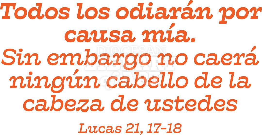 Todos los odiarán por causa mía....