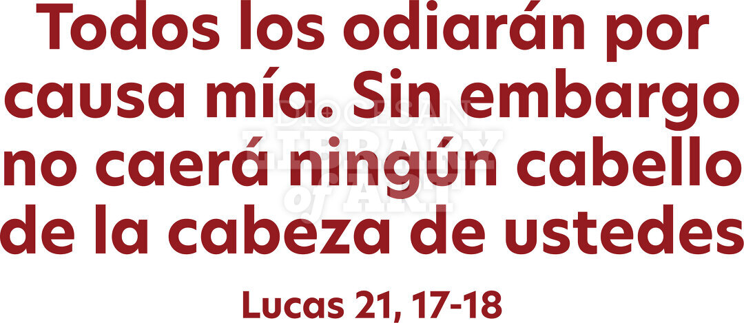 Todos los odiarán por causa mía...