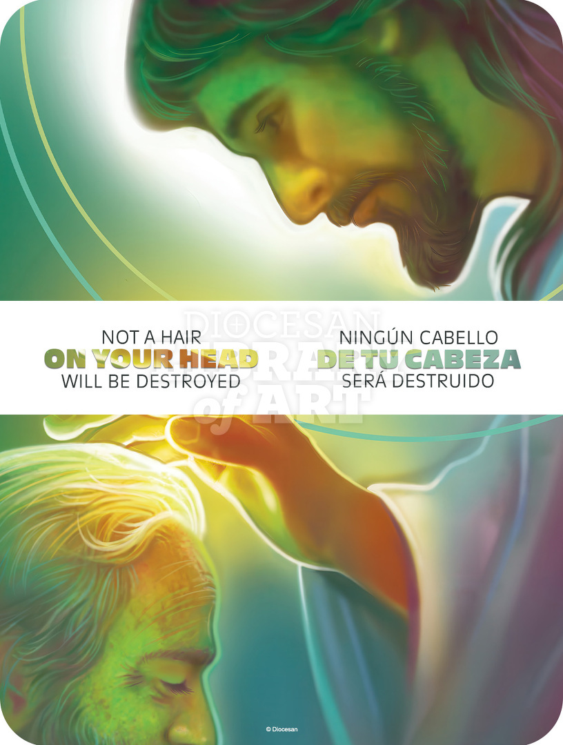 Not A Hair On Your Head. Bilingual, Vibrant : Full Page