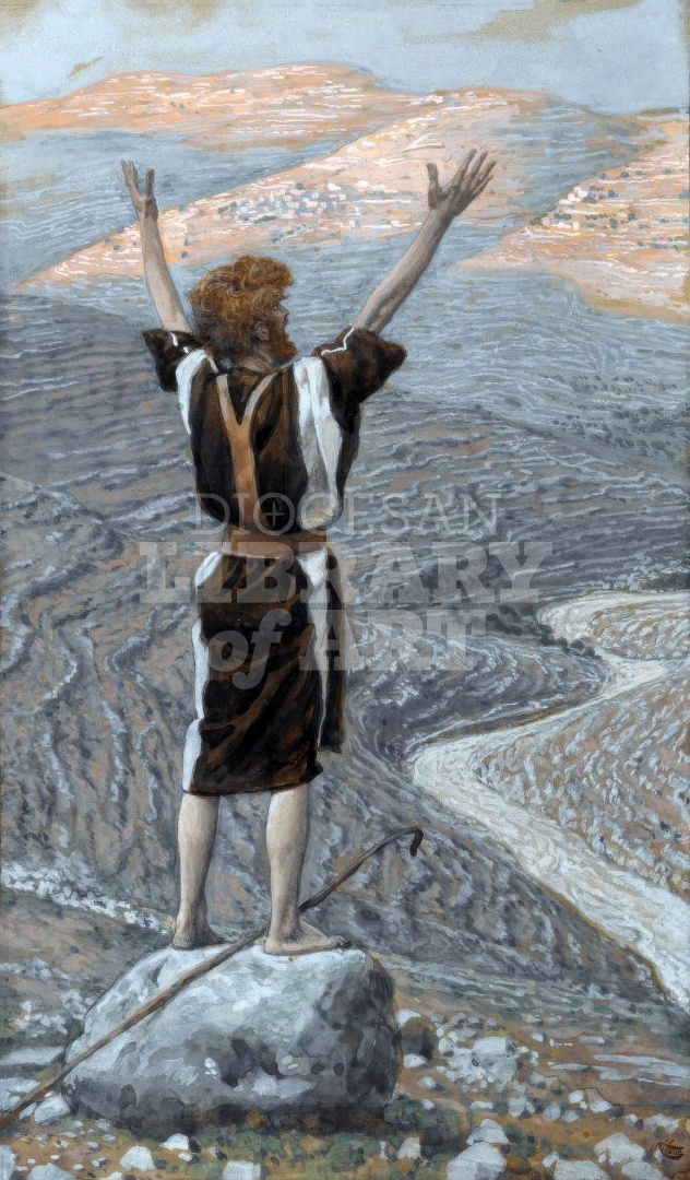 The Voice in the Desert