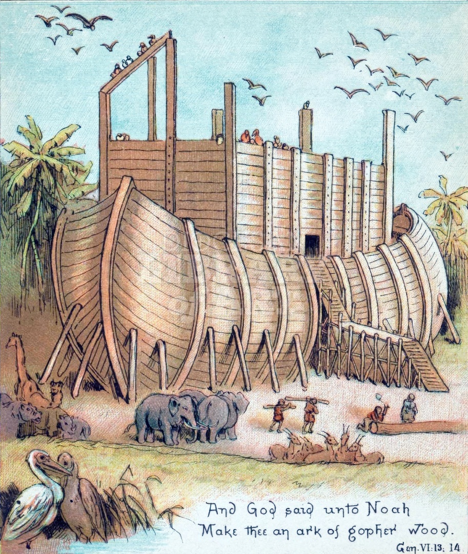 And God Said Unto Noah Make Thee An Ark of Gopher Wood