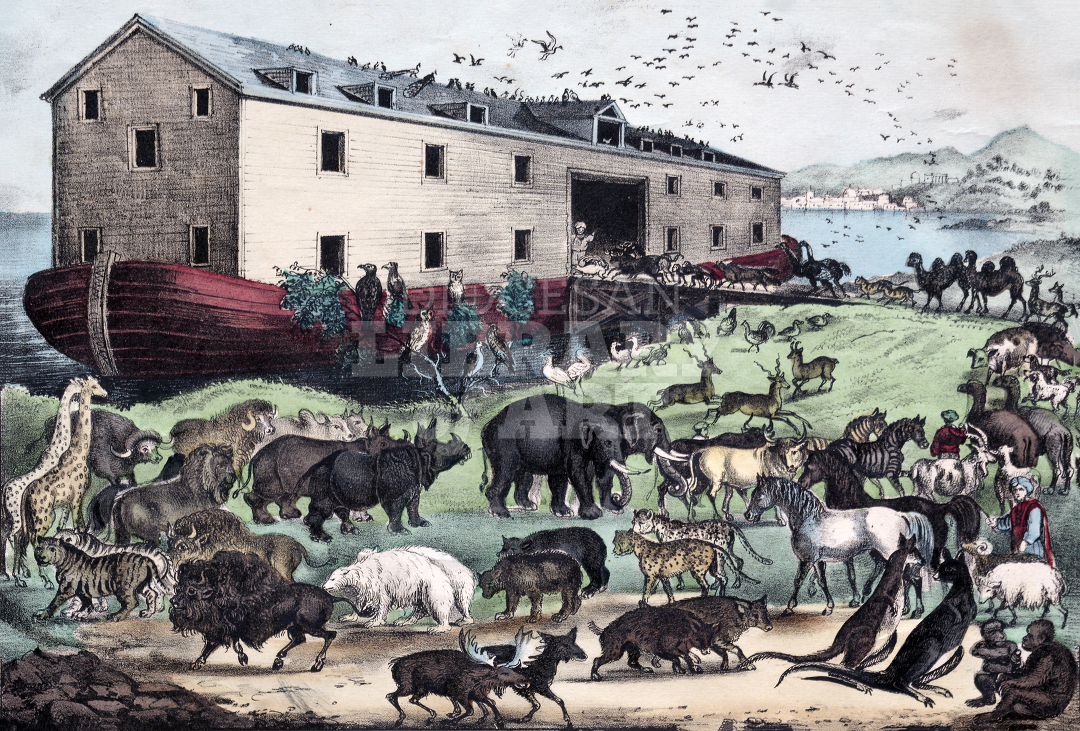 Noah’s Ark