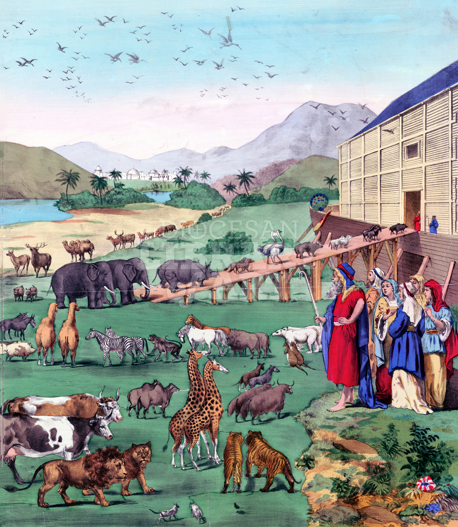 Noah’s Ark