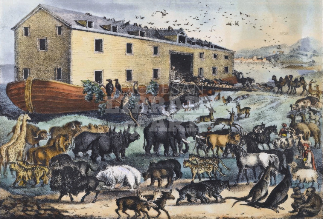 Noah’s Ark