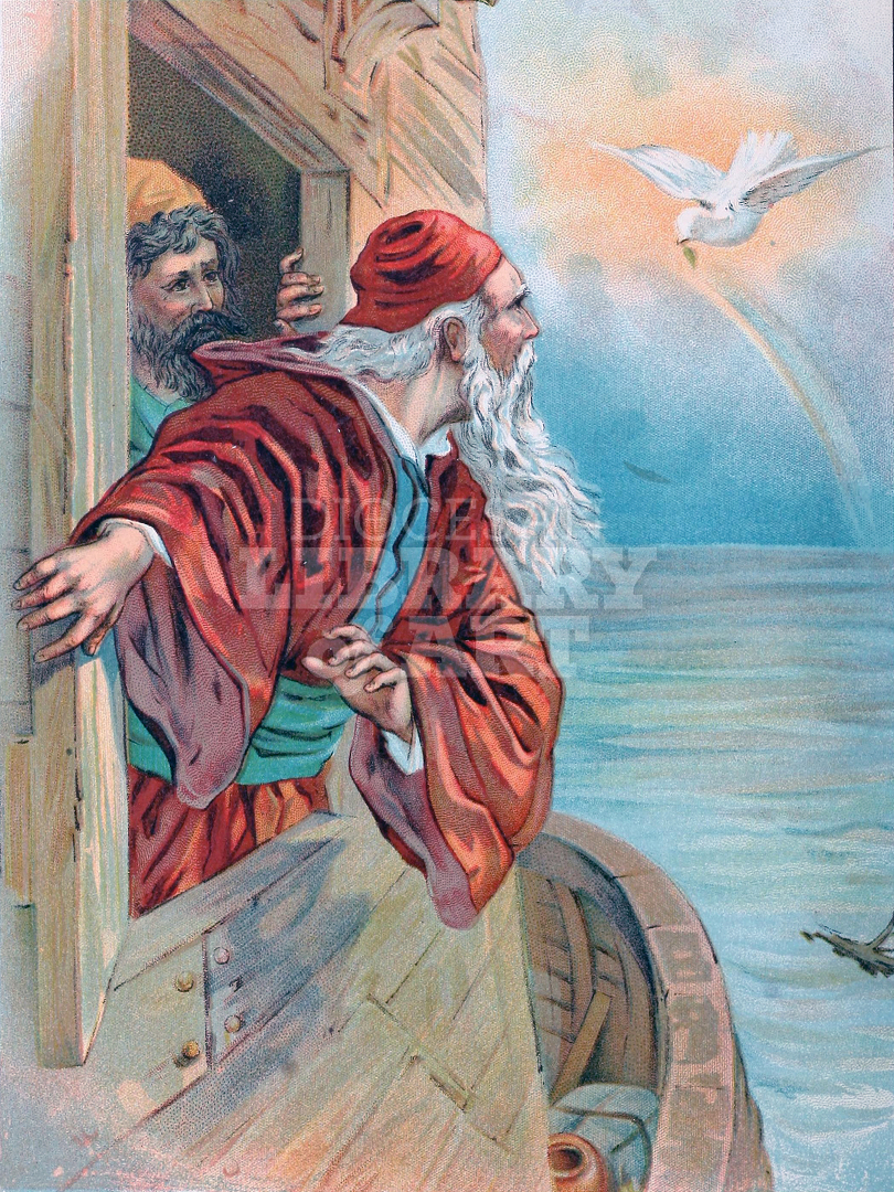 Return of the Dove