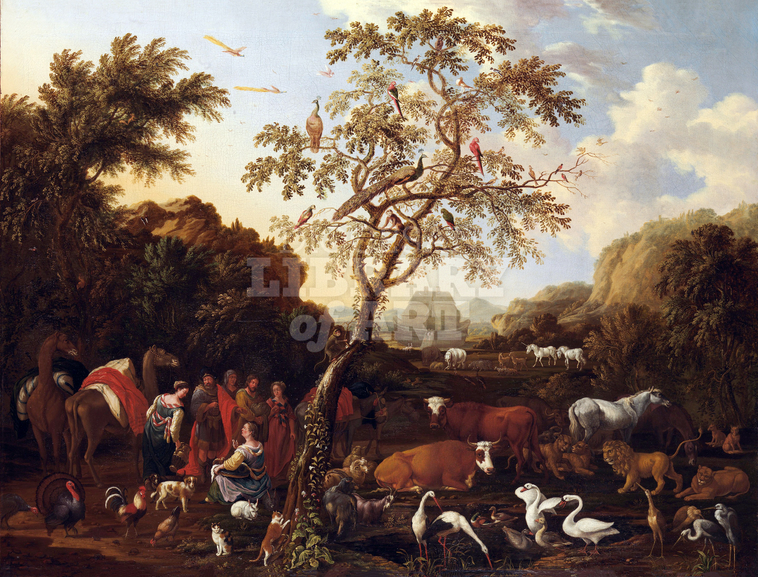 The Ark