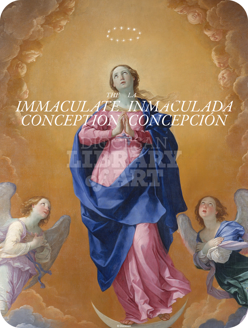 The Immaculate Conception Bilingual : Full Page