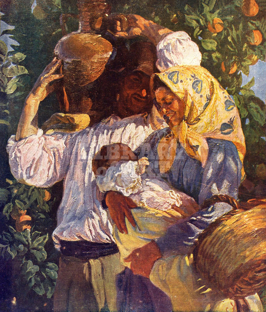 Among the Orange Trees