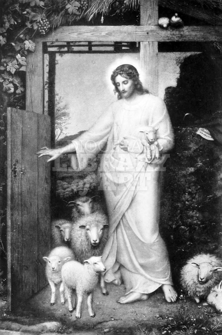 The Door of the Fold