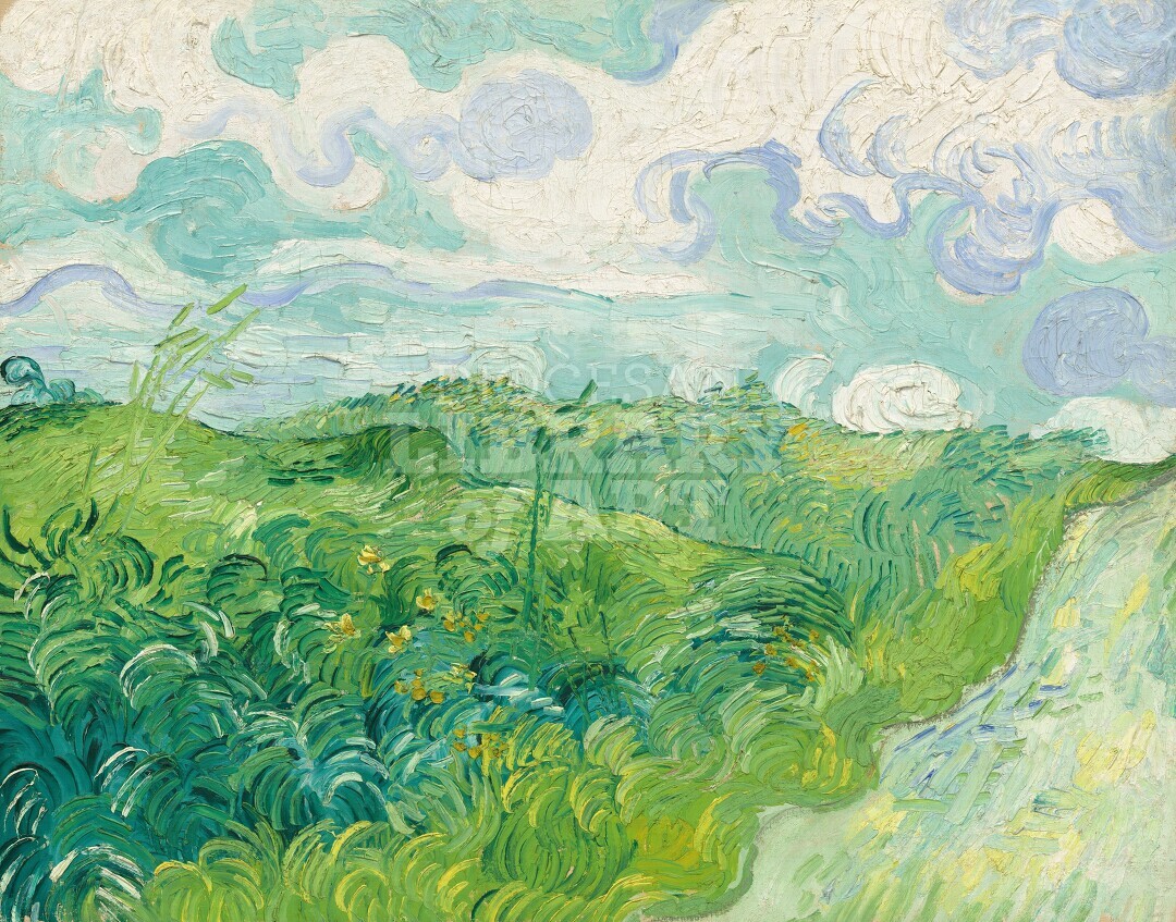 Green Wheat Fields, Auvers