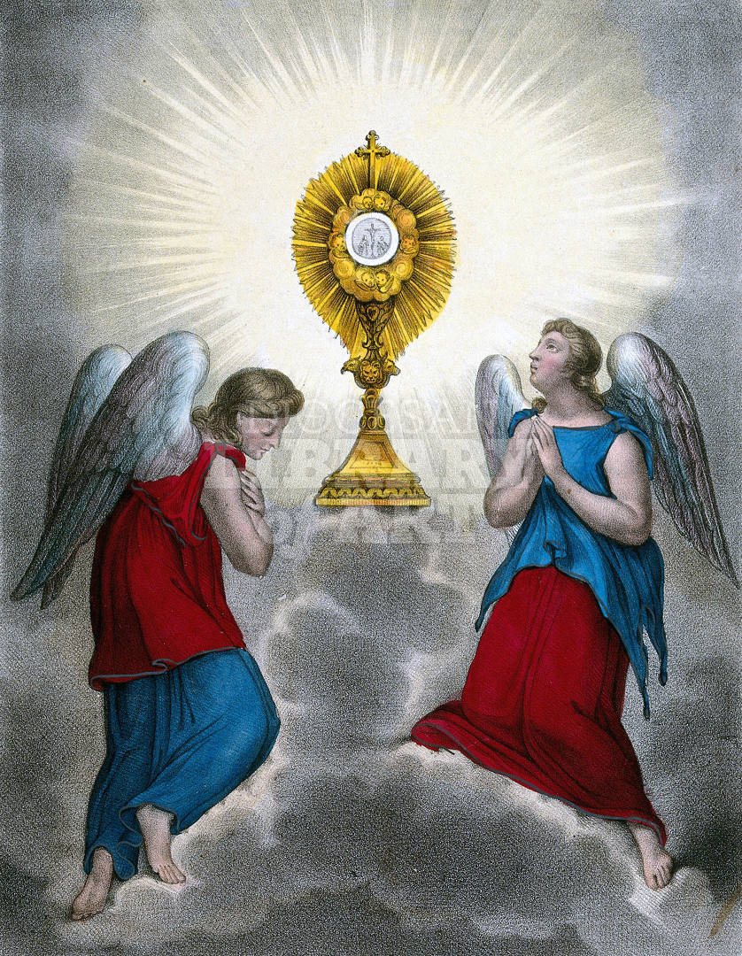 Angels Venerating a Monstrance