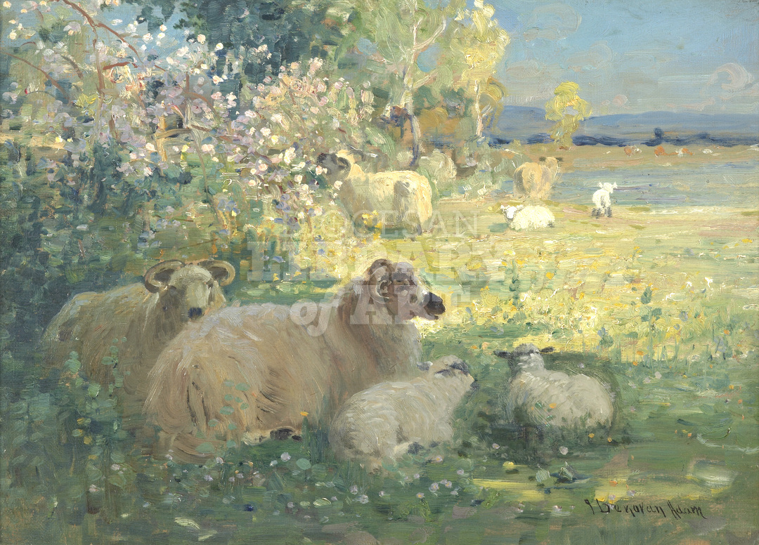 Landscape
