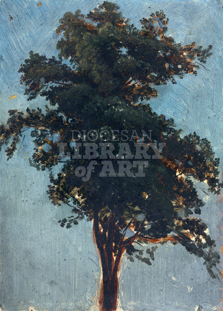 Tree Study