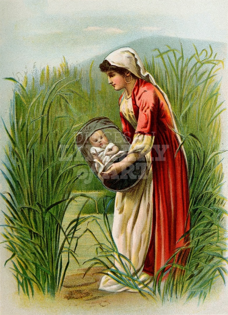 Moses in the Bulrushes