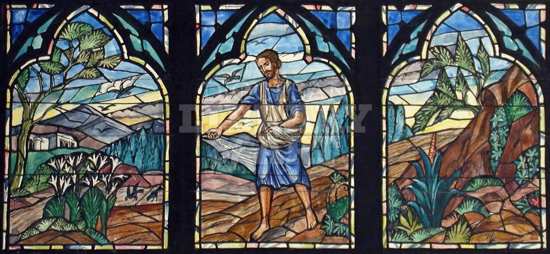 Sower of Souls