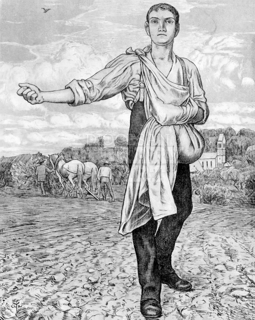 The Sower