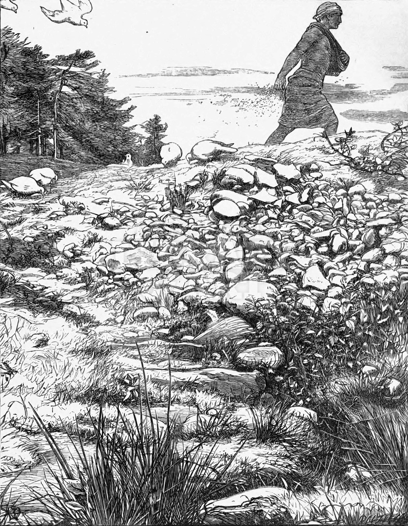 The Parable of the Sower