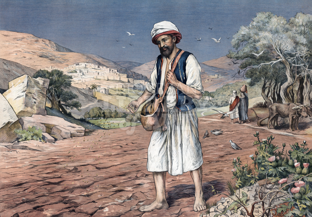 The Sower 