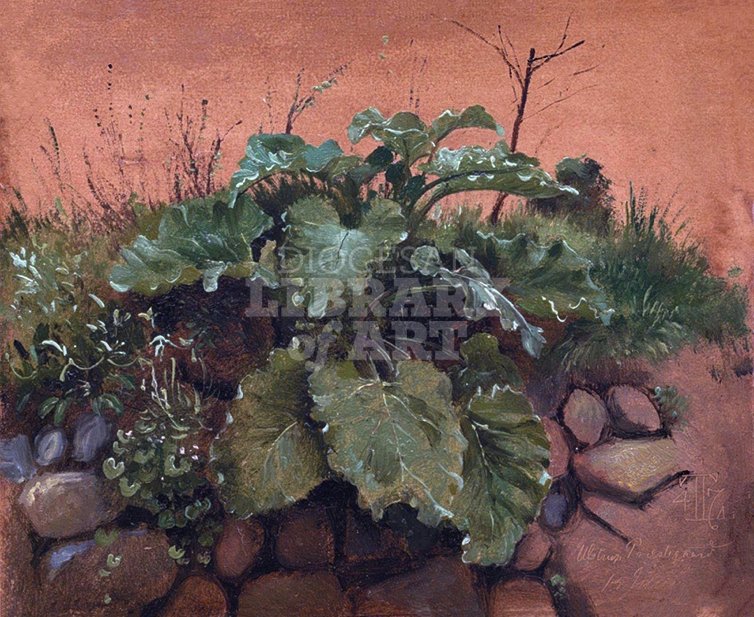 A Burdock and Other Plants on a Stone Wall