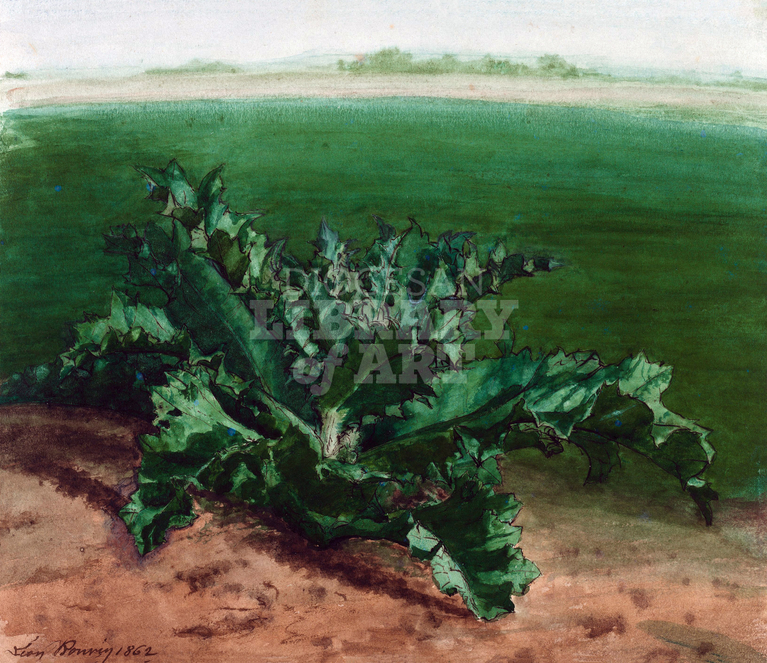 Study of a Plant