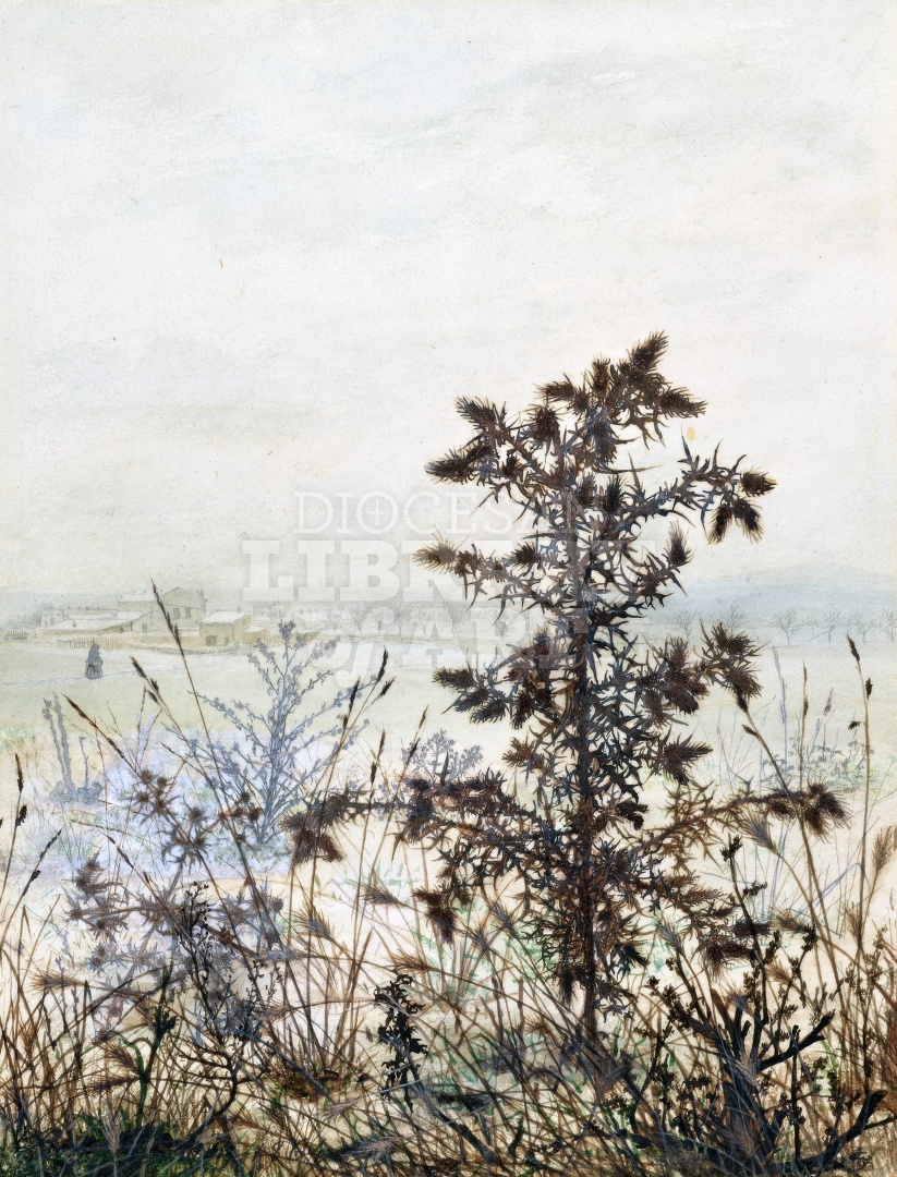 Thistle in front of a Winter Landscape 