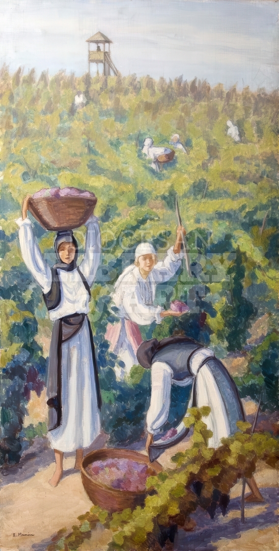 Women in the Vineyard 