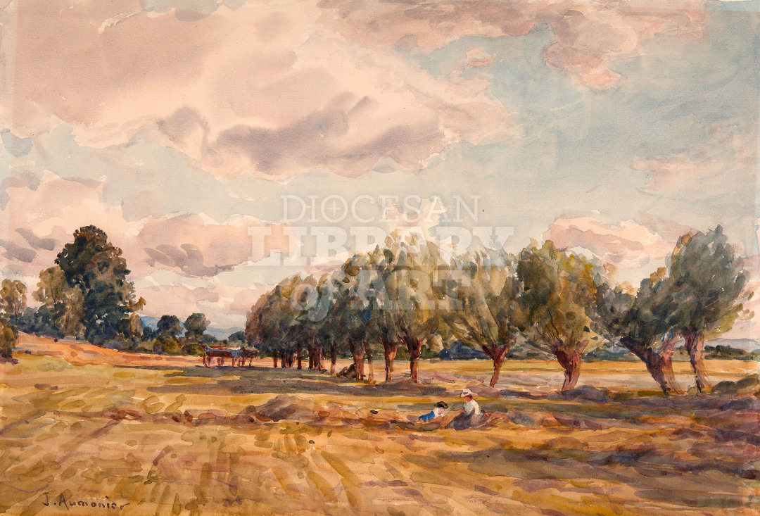 A Hayfield at Eckington