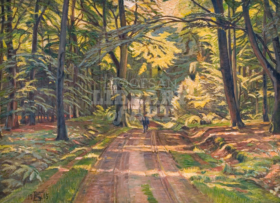 Forest road at Dyrnæs