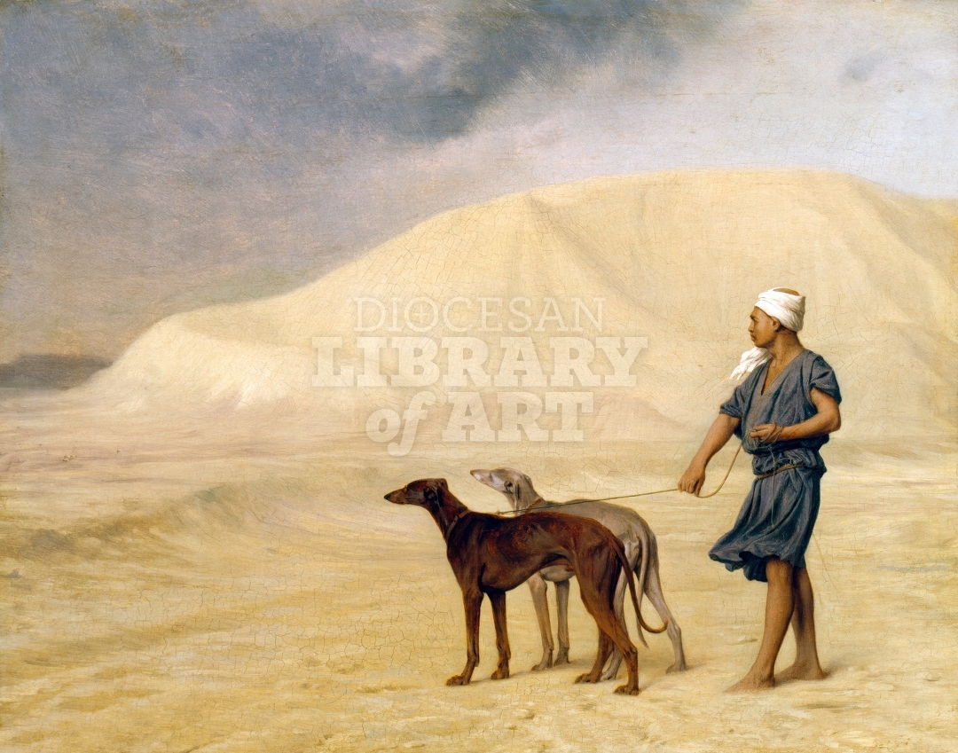 On the Desert