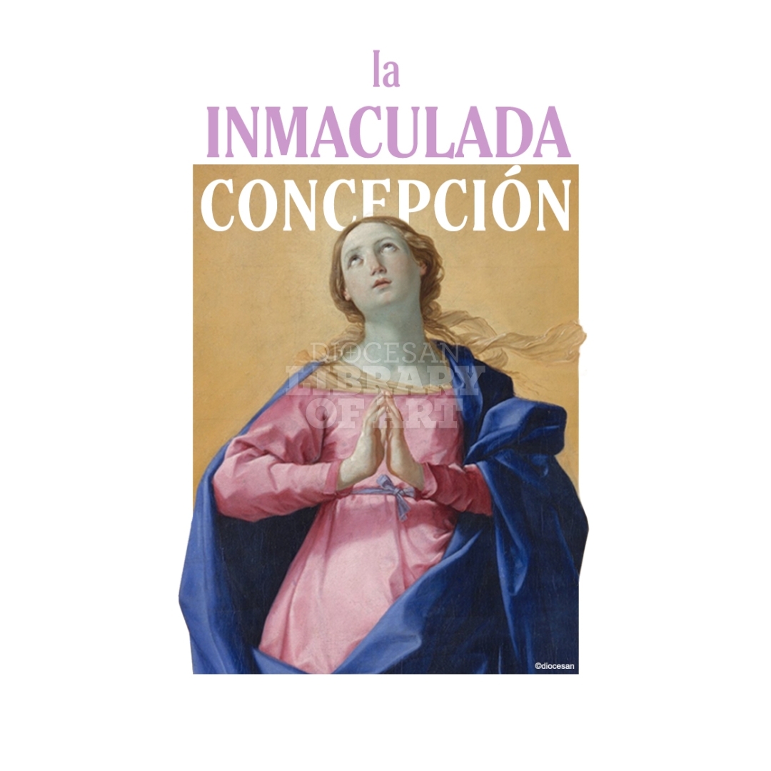 Diocesan Library of Art - Immaculate Conception of the Blessed Virgin Mary